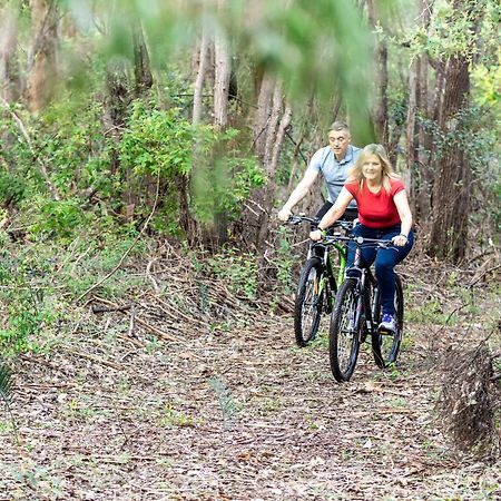 Jarrah Grove Forest Retreat - Adults Only Luxury Chalet Rosa Glen Eksteriør billede