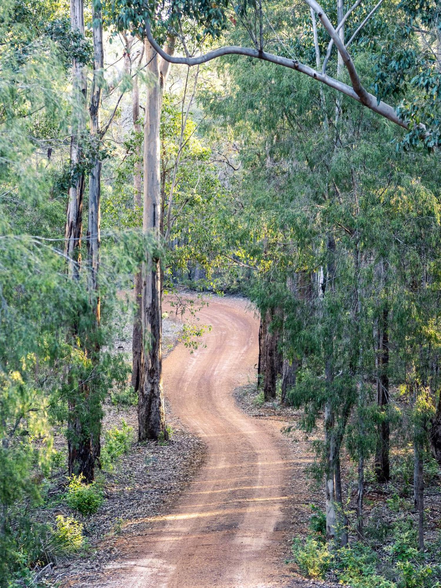 Jarrah Grove Forest Retreat - Adults Only Luxury Chalet Rosa Glen Eksteriør billede