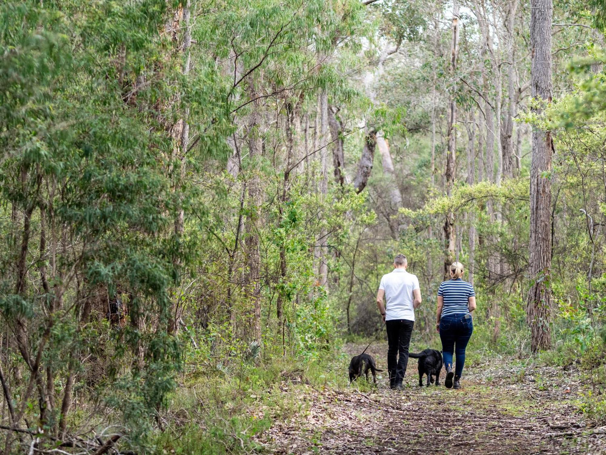 Jarrah Grove Forest Retreat - Adults Only Luxury Chalet Rosa Glen Eksteriør billede