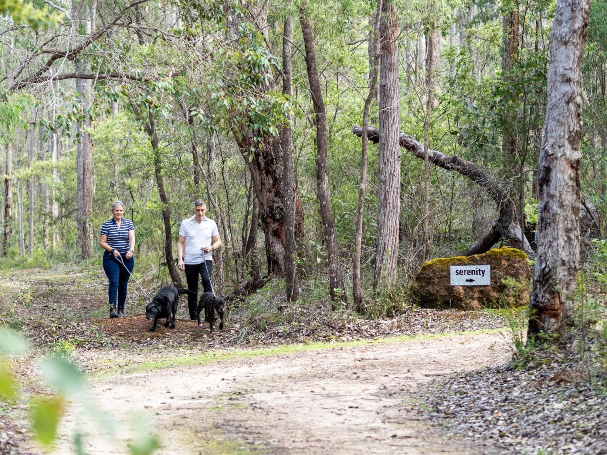 Jarrah Grove Forest Retreat - Adults Only Luxury Chalet Rosa Glen Eksteriør billede